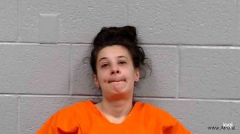 Brandi Yvonne Howerton Mugshot