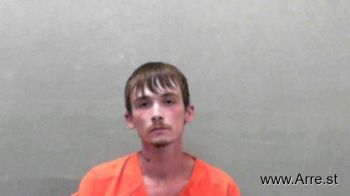 Brandon Michael Blevins Mugshot