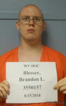Brandon Lee Blosser Mugshot