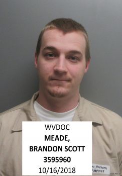 Brandon Scott Meade Mugshot