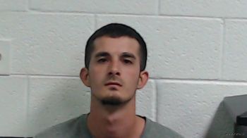 Brandon David Witt Mugshot