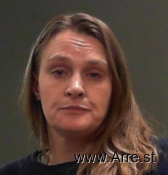 Brandy Lynn Anderson Mugshot