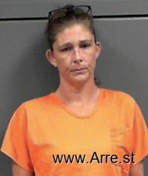 Brandy Diane Anderson Mugshot