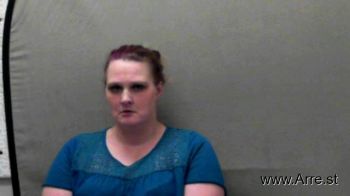 Brandy Lynn Anderson Mugshot