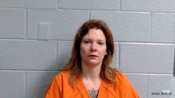 Brandy Summer Anderson Mugshot