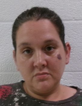 Brandy Ann Mcdonough Mugshot