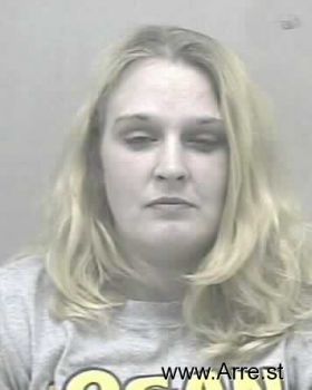 Brandy Lynn Anderson Mugshot