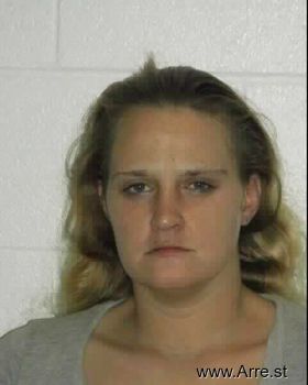 Brandy Lynn Anderson Mugshot