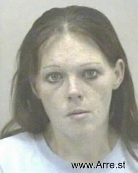 Brandy Sue Johnson Mugshot