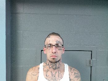 Brian Austin Wolford Mugshot