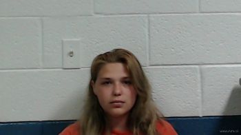 Briana Lynn King Mugshot