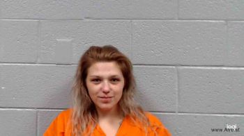 Briana Lynn King Mugshot