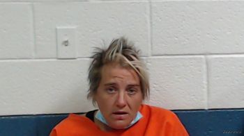 Brianna Michelle Turner Mugshot