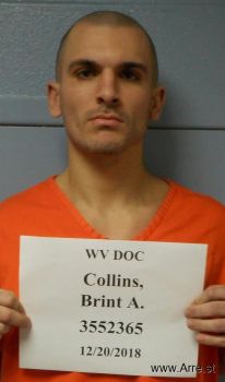 Brint Auston Collins Mugshot