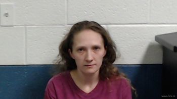 Brittany Rochelle Holstein Mugshot