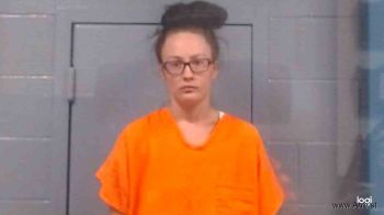 Brittany Lynn Napier Mugshot