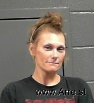 Brittany Ruthann Wolfe Mugshot