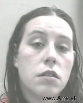 Brittney Dawn Howes-burros Mugshot