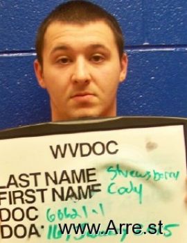 Cody C Shrewsberry Mugshot