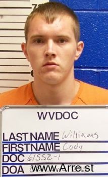 Cody L Williams Mugshot