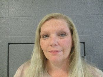 Carrie Sue Collins Mugshot