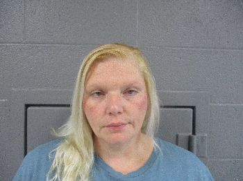 Carrie Sue Collins Mugshot