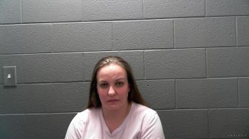 Carrie Lynn Johnson Mugshot