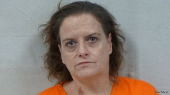 Carrie Renea Wildman Mugshot