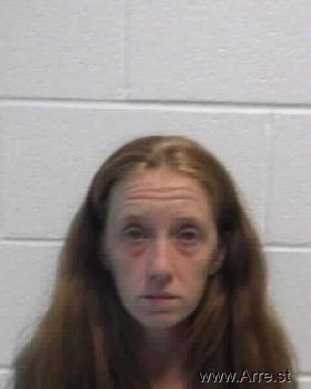 Carrie Ann Ferguson Mugshot