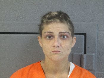 Casey Sabrina Wilson Mugshot