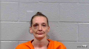 Christina Lynn Bolin Mugshot