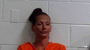 Christina Lynn Bolin Mugshot