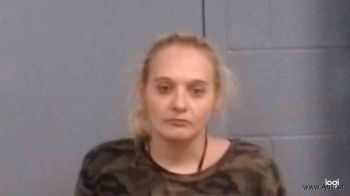 Christina Lynn Layman Mugshot