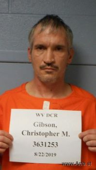 Christopher Michael Gibson Mugshot