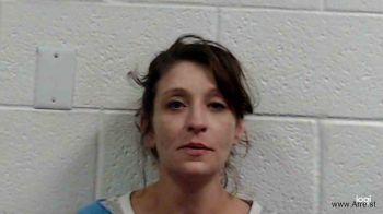 Christy Lynn Adkins Mugshot