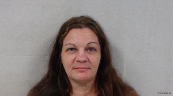 Christy Lane Lee Mugshot