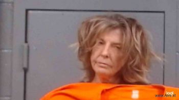 Cindy Diane West Mugshot