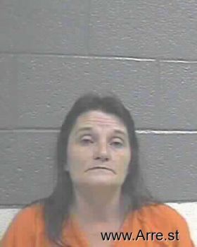 Cindy Joe Ellis Mugshot