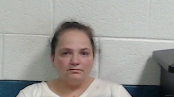 Crystal Dawn Massey Mugshot