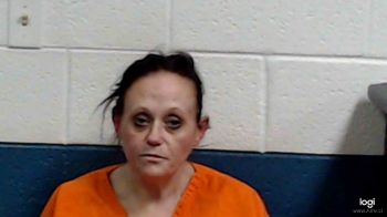 Cynthia Sue King Mugshot