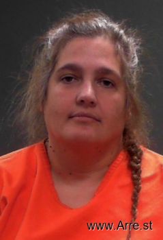 Dana Marie Chafins Mugshot