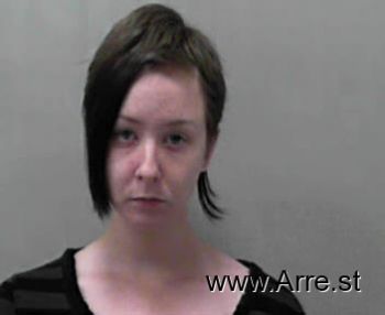 Dana Ann Logsdon Mugshot