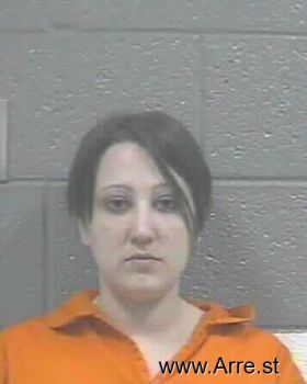 Dana Marie Willis Mugshot