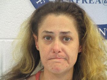 Danielle Marie Johnson Mugshot