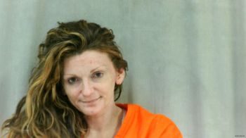 Danika Dawn Pruitt Mugshot