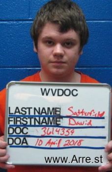 David Ryan Satterfield Mugshot