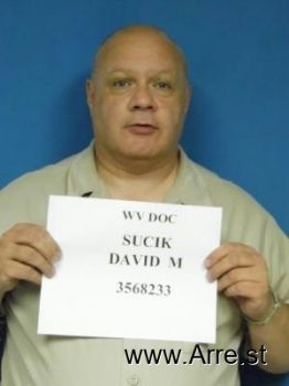 David Martin Sucik Mugshot