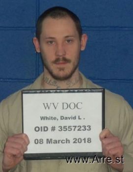 David Lee White Mugshot