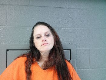 Dawn Elizabeth Kelley Mugshot