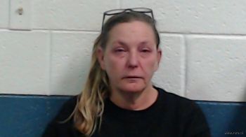 Dawn Christine Schultz Mugshot